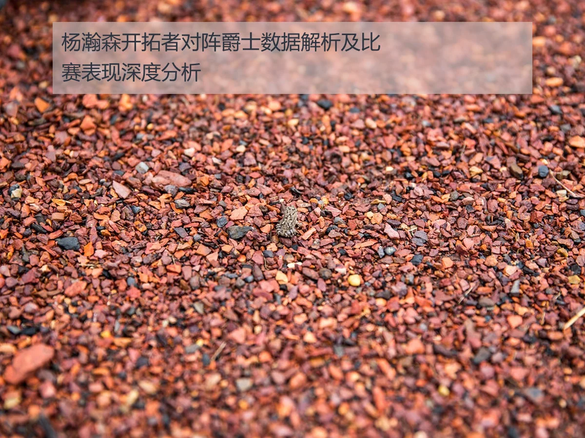 杨瀚森开拓者对阵爵士数据解析及比赛表现深度分析